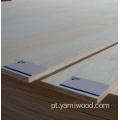 15mm 18mm White ev eucalyptus corewood